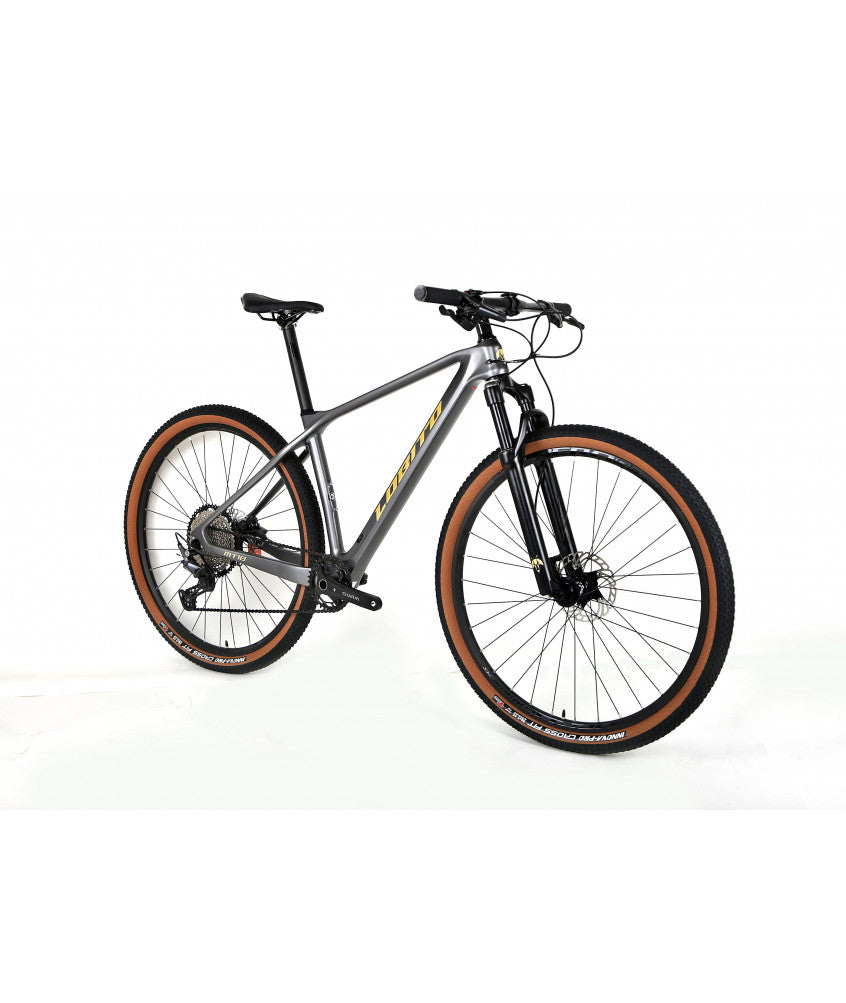 LOBITO MT10 Carbon Frame Mountain Bike-Electric Scooters London