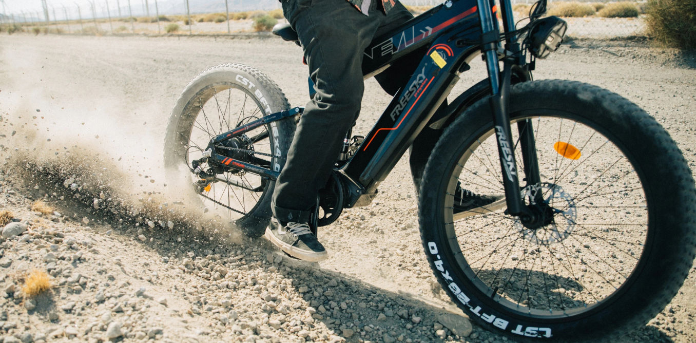 FREESKY ALASKA High-Power E-Bike