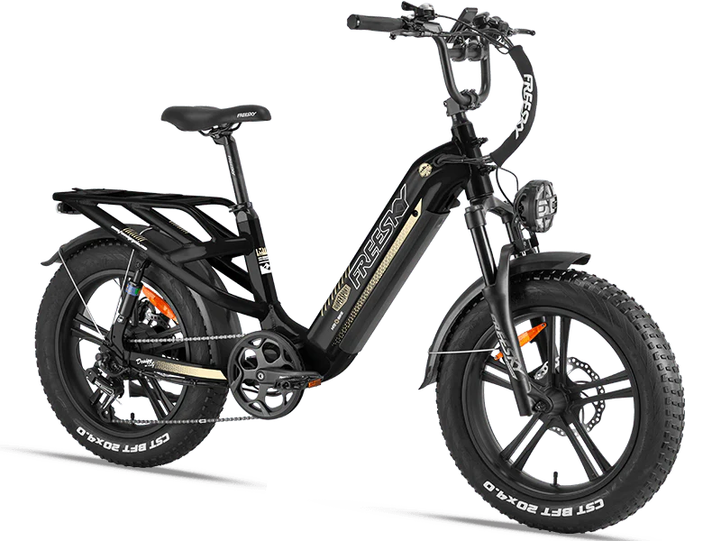 electric bicycles for sale uk LR250 Low-Rider Folding Bike Electric Bike Mountain Bike 26"
