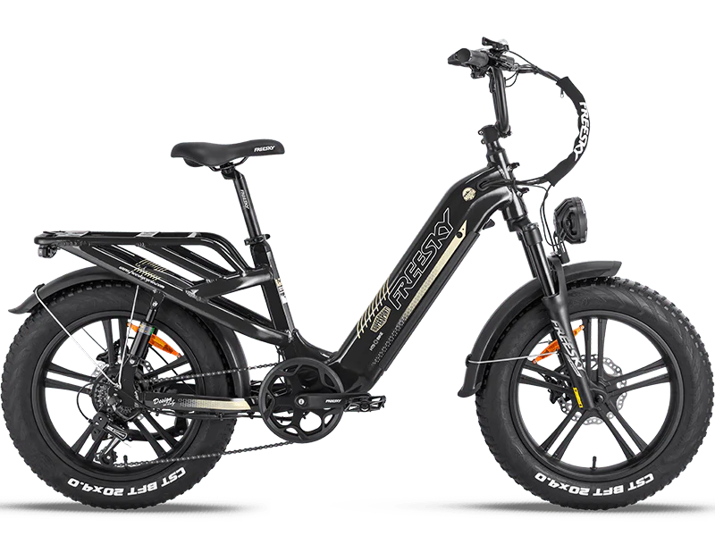 FREESKY Rocky Pro A-320 Step-Through Electric Bike – 2500W Peak Fat Tyre