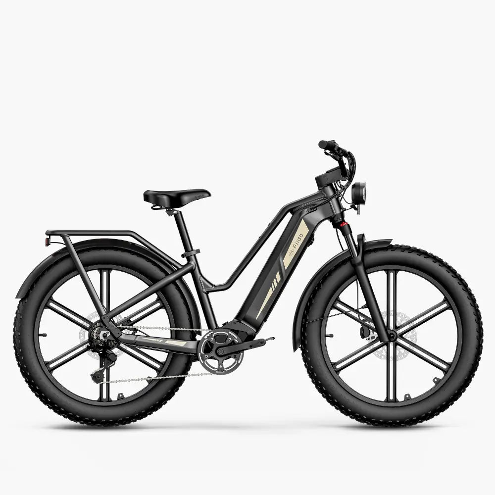 Fiido Titan Fat Tyre E-Bike - 750W with 347km Range