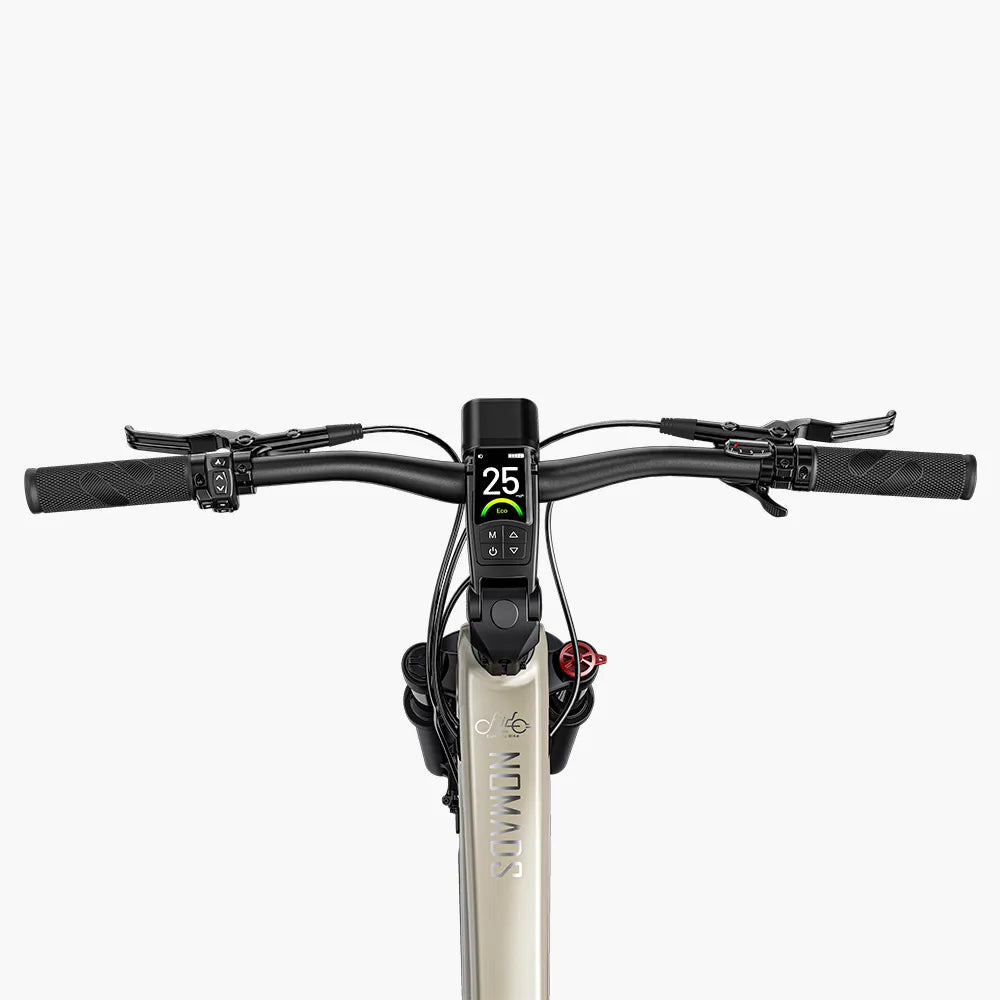 Fiido Nomads Touring E-Bike – 250W Torque Sensor Trekking Bike-Electric Scooters London