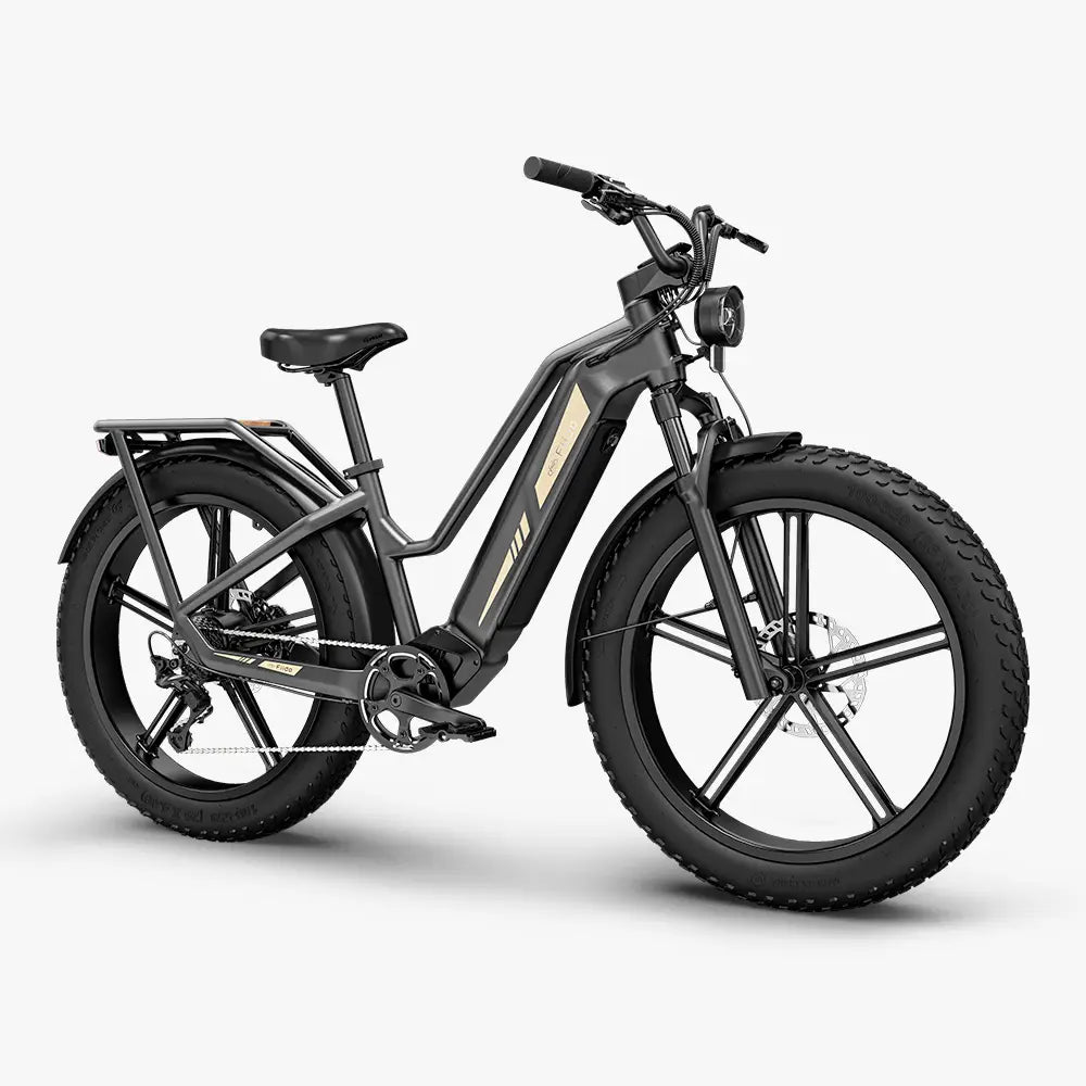 Fiido Titan Fat Tyre E-Bike - 750W with 347km Range