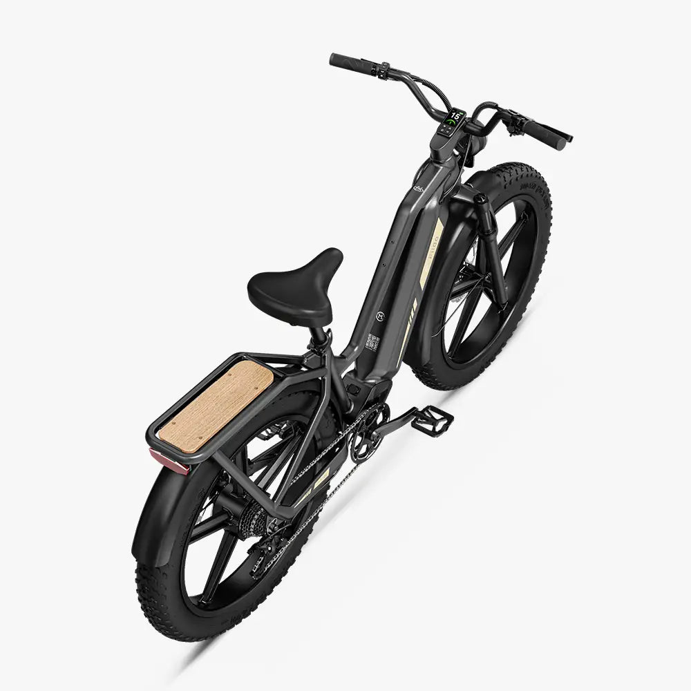 Fiido Titan Fat Tyre E-Bike - 750W with 347km Range