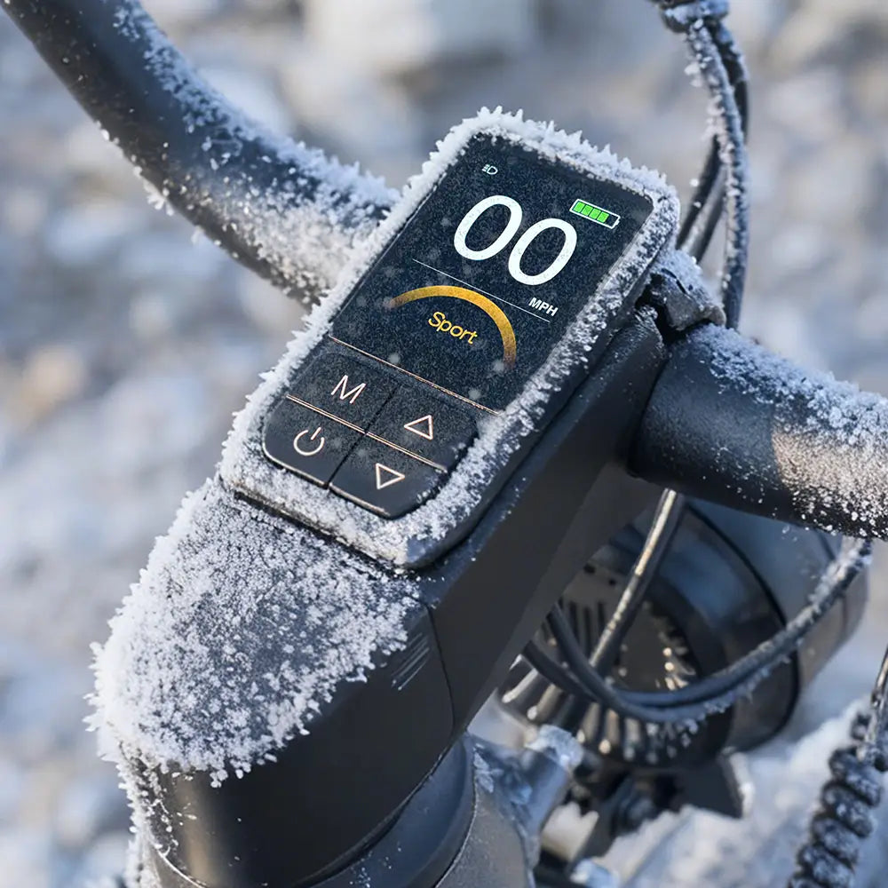 Fiido Titan Fat Tyre E-Bike - 750W with 347km Range