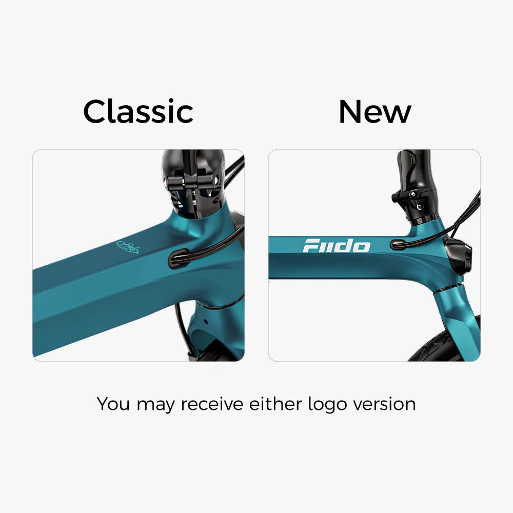 Fiido X Folding Electric Bike with Torque Sensor-Electric Scooters London