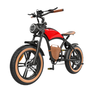 Hidoes B10 1000W Retro Vintage Fat Tyre Electric Bike Electric