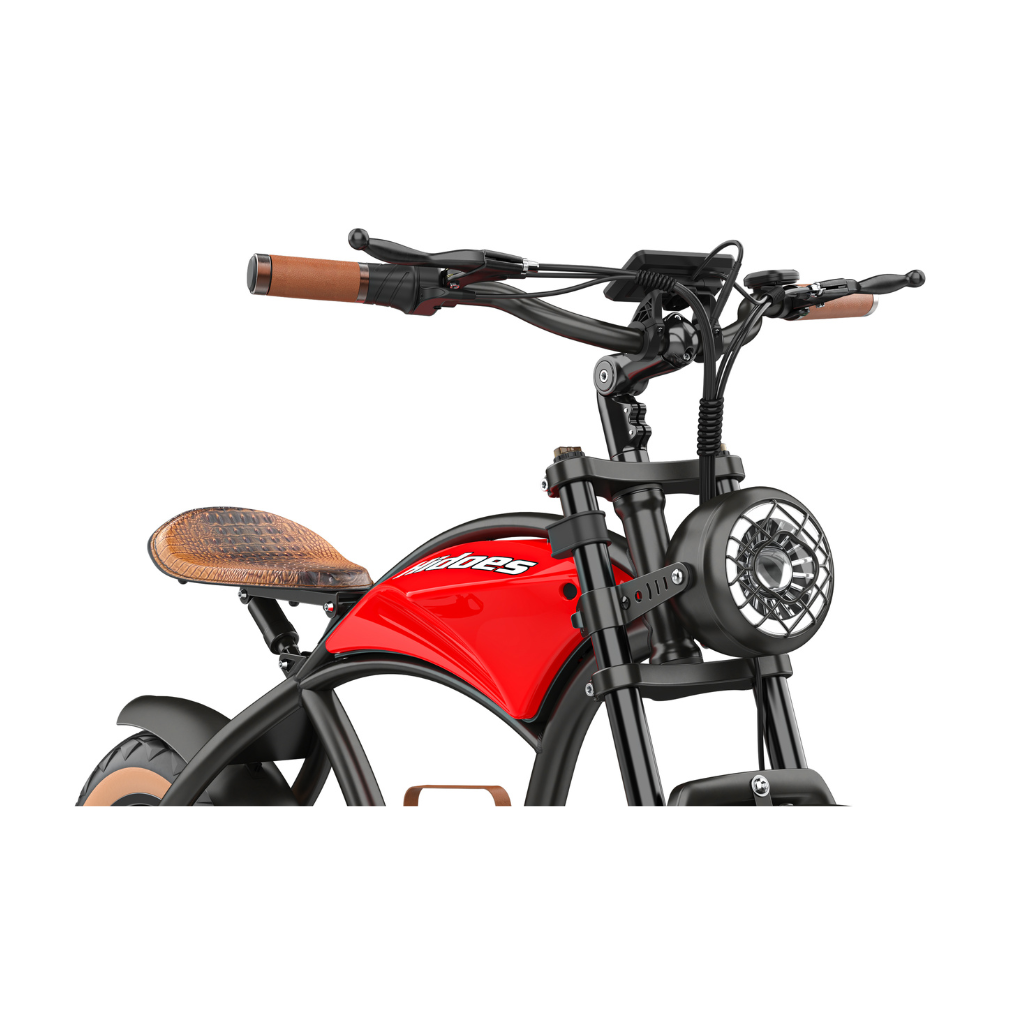 Hidoes B10 1000W Retro Vintage Fat Tyre Electric Bike Electric
