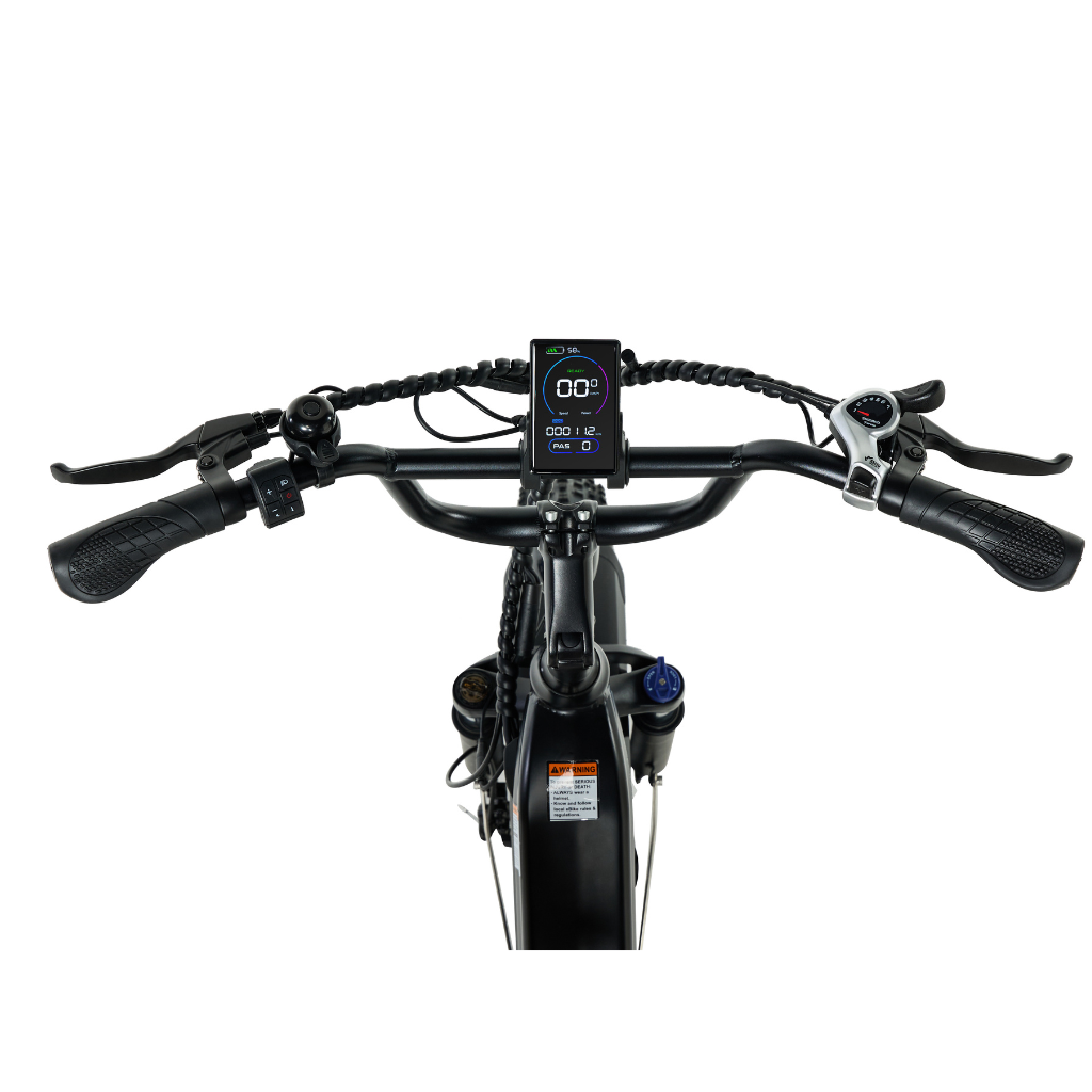 PIXAR® Ride1 Fat Tyre Mountain E-Bike