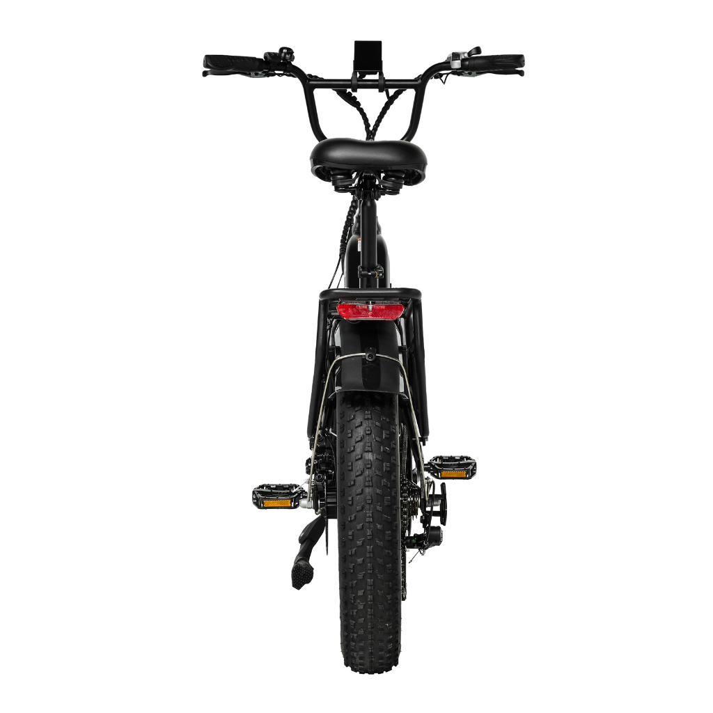 PIXAR® Ride1 Fat Tyre Mountain E-Bike