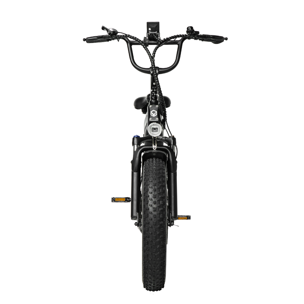 PIXAR® Ride1 Fat Tyre Mountain E-Bike