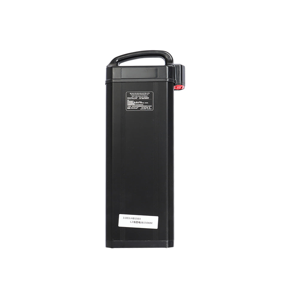 Fiido Replacement Battery for L2-Electric Scooters London