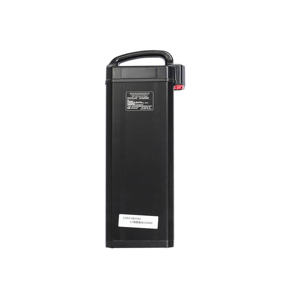 Fiido Replacement Battery for L3-Electric Scooters London