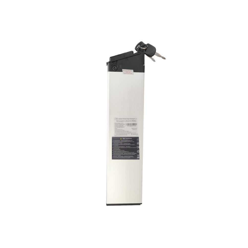 Fiido Replacement Battery for M1 Pro(2024 & 2025)/M1-Electric Scooters London