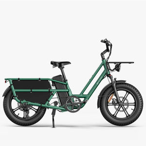 Fiido T2 2025 longtail cargo electric bike in green — side view
