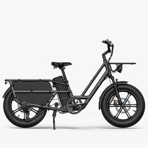 Fiido T2 2025 longtail cargo electric bike in grey — side view