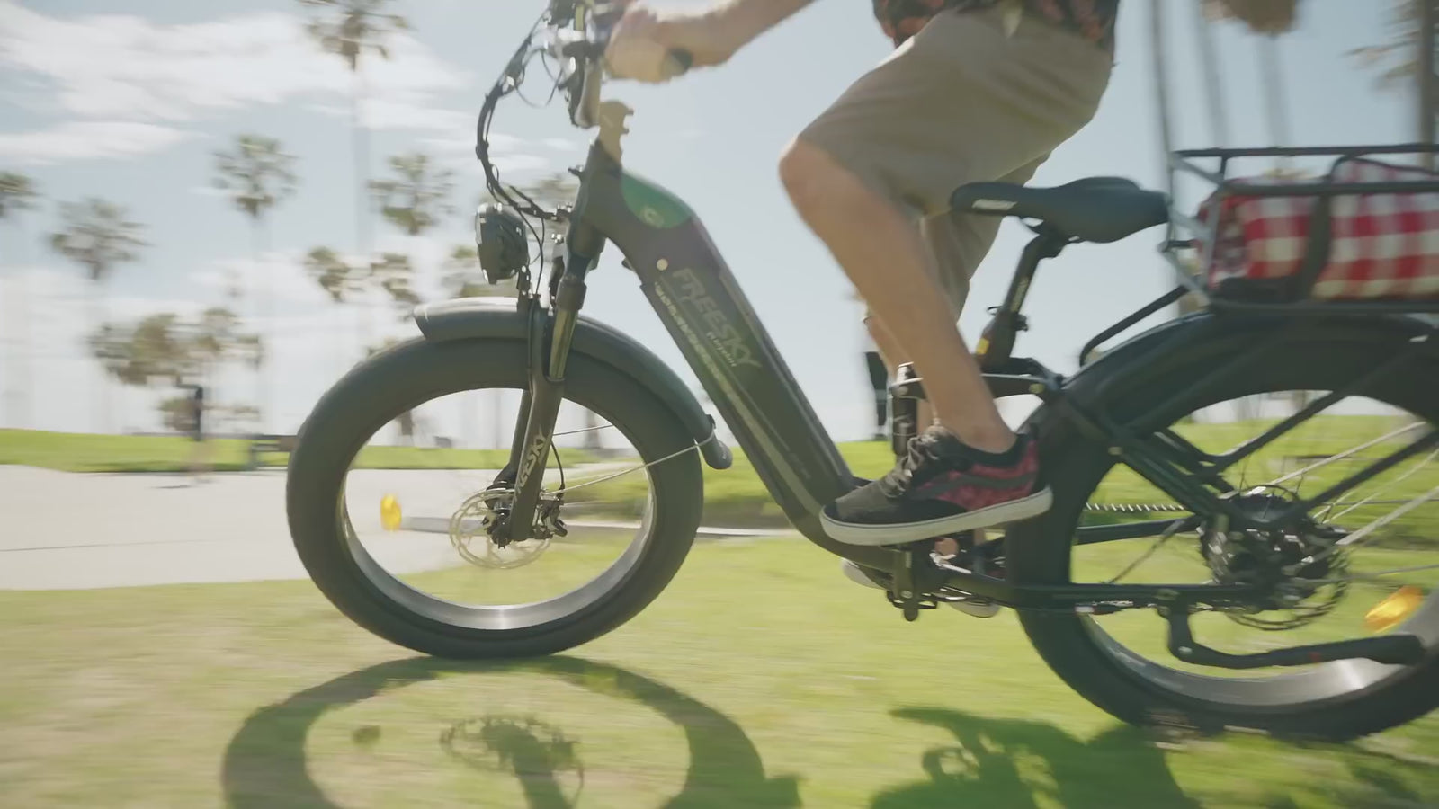 FREESKY Wild Cat Ultra A-340 Electric Bike
