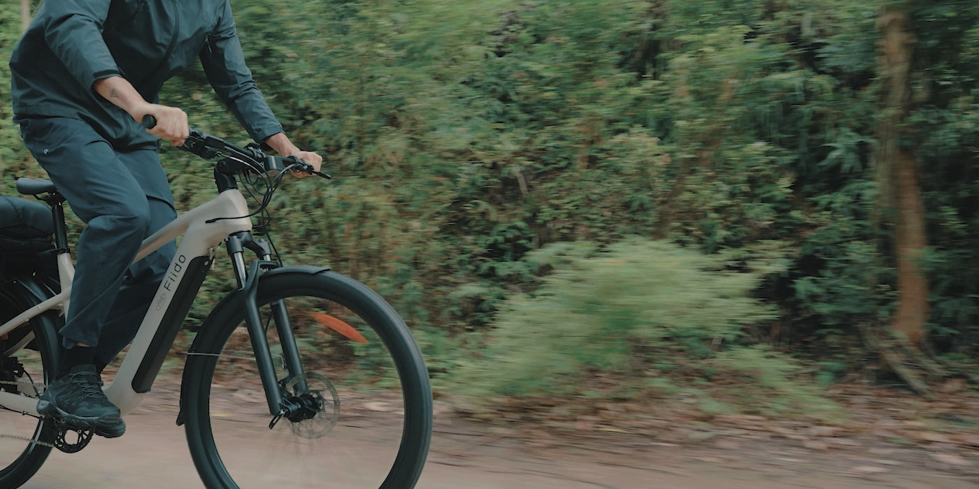 Fiido Nomads Touring E-Bike – 250W Torque Sensor Trekking Bike