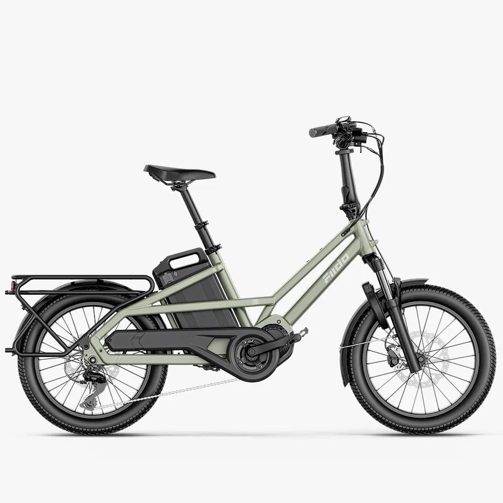 Fiido T3 Urban Family Cargo E-Bike – 250W, 972Wh Battery-Electric Scooters London