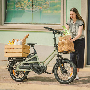 Fiido T3 Urban Family Cargo E-Bike – 250W, 972Wh Battery-Electric Scooters London