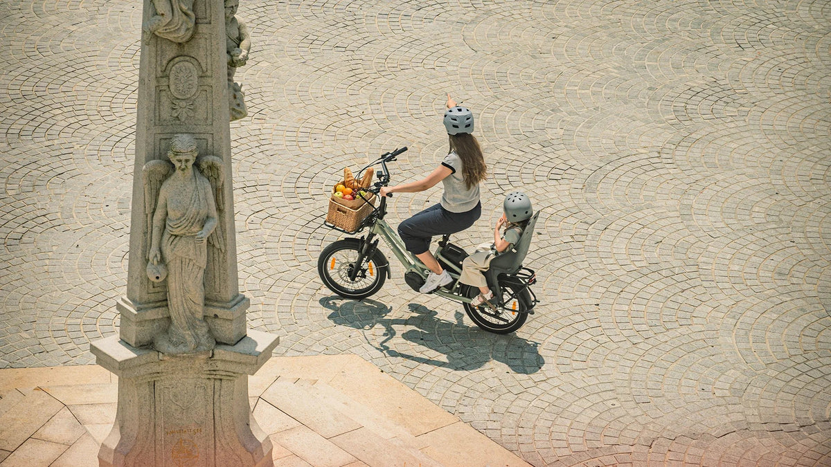 Fiido T3 Urban Family Cargo E-Bike – 250W, 972Wh Battery-Electric Scooters London