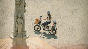 Fiido T3 Urban Family Cargo E-Bike – 250W, 972Wh Battery-Electric Scooters London