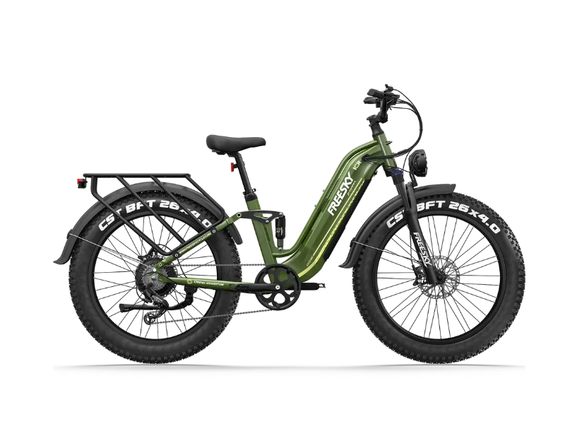 FREESKY Wild Cat Ultra A-340 3000W Peak Electric Bike