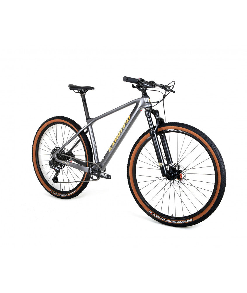 LOBITO MT12 Carbon Frame Mountain Bike-Electric Scooters London